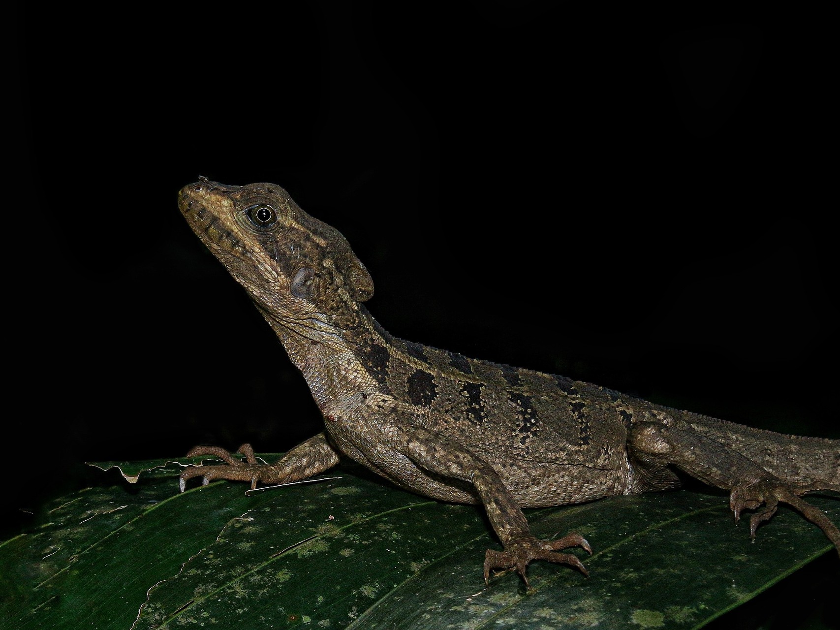 Copy of 20220616132039_IMG_0198-01-01-01-01